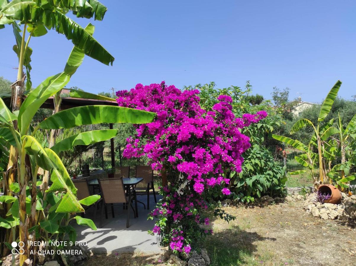 הוילה Kouspádhes Aglaia House מראה חיצוני תמונה