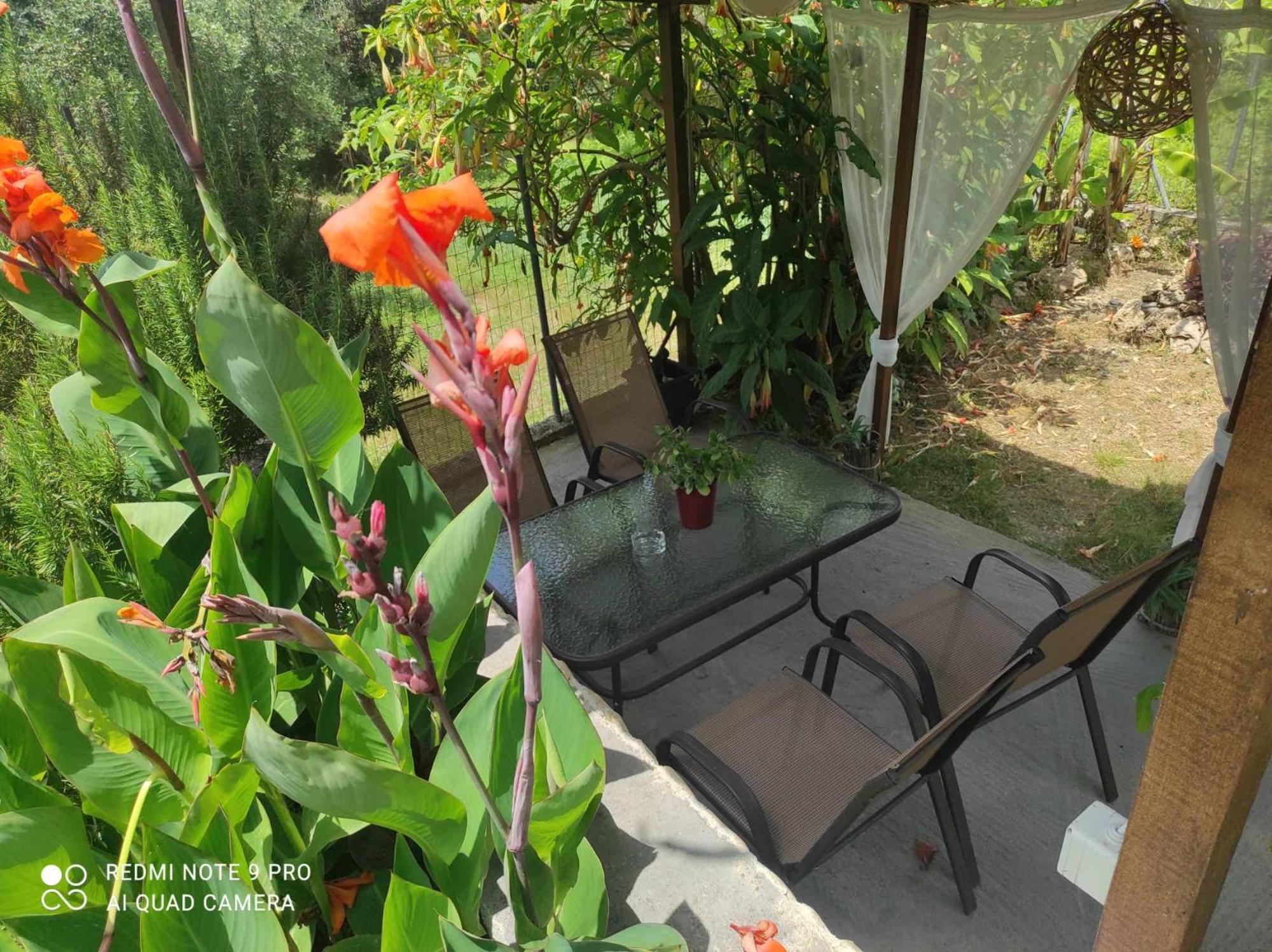הוילה Kouspádhes Aglaia House מראה חיצוני תמונה